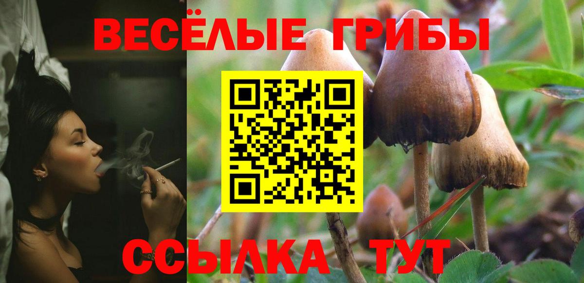 наркотики  Псилоцибиновые грибы Cubensis  Вход с VPN  Моздок 